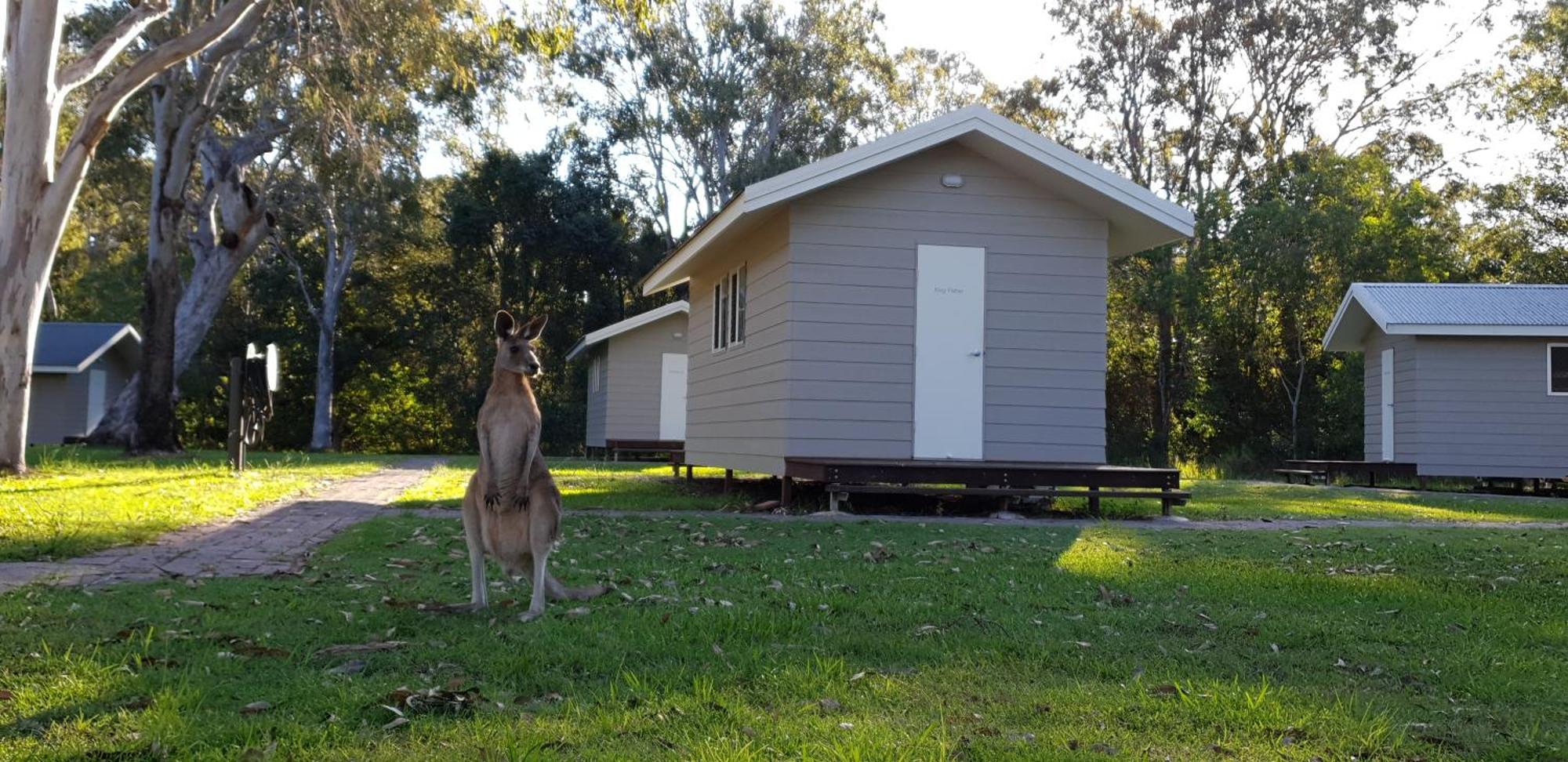 Kangarooms Noosa Everglades Cootharaba 외부 사진